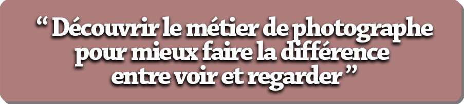 Découvrir le métier de photographe pour mieux faire la différence entre voir et regrader